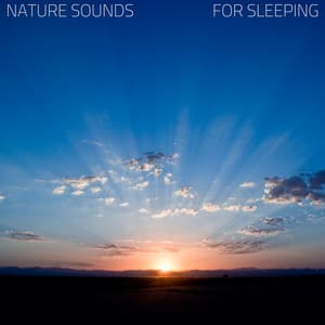 Nature Sounds for Sleeping - Spring Aroma