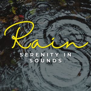 Eternal Rain: Serenity in Sound - Summer Showers