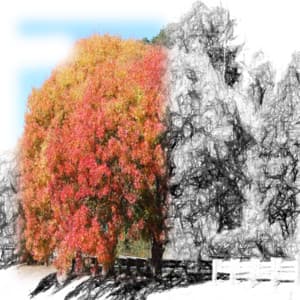 White Noise Spa Collection - 50 Shades of Ambience - Sleep Baby Sleep