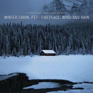 Winter Cabin, Pt. 2 - Fireplace, Wind and Rain - Dr. John Douglas