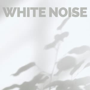 White Noise - White Noise Looped