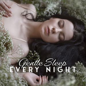 Gentle Sleep for Every Night - Sleepy Music Zone