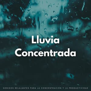 Lluvia Concentrada: Sonidos Relajantes Para La Concentración Y La Productividad - Lluvia Mozart