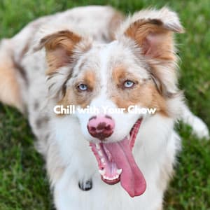 Chill with Your Chow - Dog Music Hour