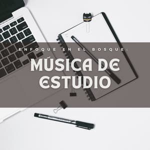 Enfoque En El Bosque: Música De Estudio - Sonidos Del Bosque