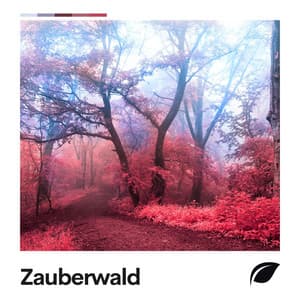 Zauberwald - Naturgeräusche