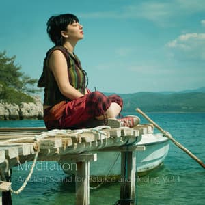 Meditation: Ambient Sound for Balance and Healing Vol. 1 - White Noise Healing Center