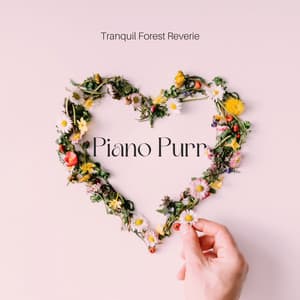 Piano Whiskers: Nature's Feline Serenades - Piano Covers