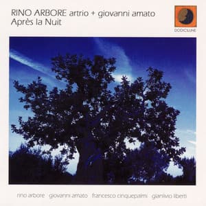 Après la nuit - Rino Arbore Artrio