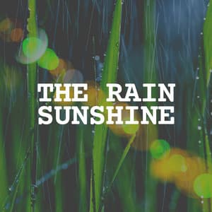 The Rain Sunshine - Rain Sounds & Nature Sounds