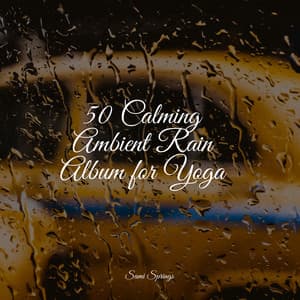 50 Calming Ambient Rain Album for Yoga - Nature Sounds XLE Library