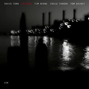 Prezens - David Torn