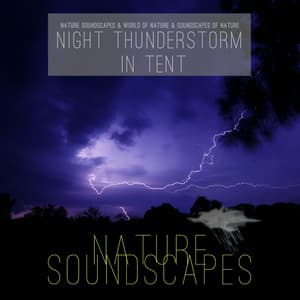 Night Thunderstorm in Tent - Nature Soundscapes