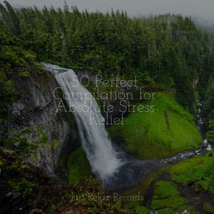 50 Perfect Compilation for Absolute Stress Relief - Lounge relax