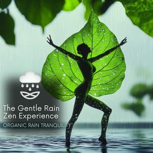 The Gentle Rain Zen Experience - Organic Rain Tranquility