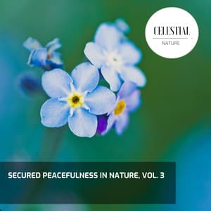 Secured Peacefulness in Nature, Vol. 3 - Nature Radiance