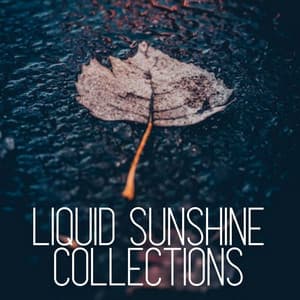 Liquid Sunshine Collections - Nature's Noise