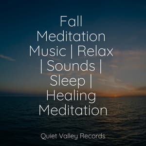 Fall Meditation Music | Relax | Sounds | Sleep | Healing Meditation - Sons da Natureza Relax