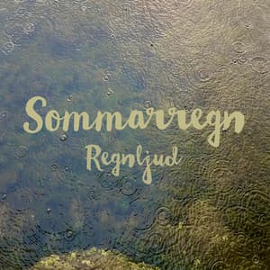 Sommarregn - Regnljud
