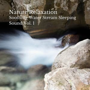 Nature Relaxation: Soothing Water Stream Sleeping Sound Vol. 1 - Soothing Music
