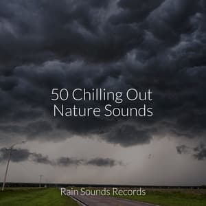 50 Chilling Out Nature Sounds - Relaxing Music