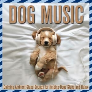 Dog Music: Calming Ambient Sleep Sounds for Helping Dogs Sleep and Relax - Dog Music Dreams