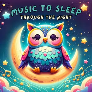Music to Sleep Through the Night - Hush Now Baby