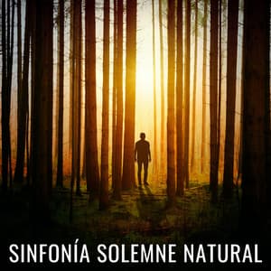 Sinfonía Solemne Natural - Naturaleza épica