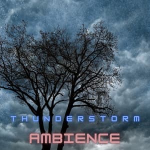 Thunderstorm Ambience: Soothing Sounds of Rain and Thunder for Relaxation and A Calm Sleep - Thunderstorm Bear