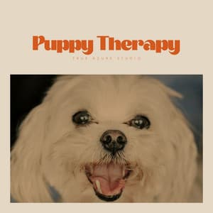 Puppy Therapy - Music for Calming Dogs
