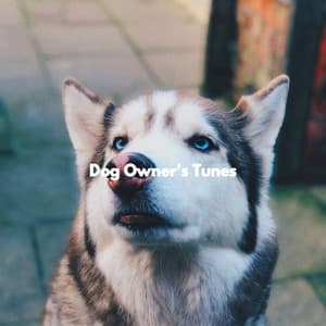 Dog Owner's Tunes - Relax My Puppy