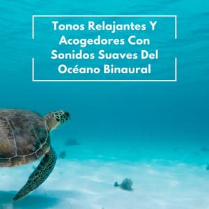 Tonos Relajantes Y Acogedores Con Sonidos Suaves Del Océano Binaural - Universo De Latidos Binaurales