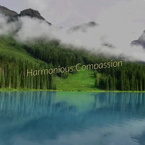 Harmonious Compassion - Solis Reverie