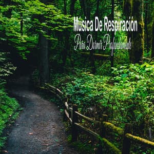 Música De Respiración Para Dormir Profundamente - Masaje Relajante Masters
