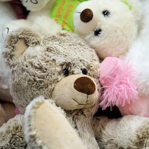 Golden Embrace of Twilight - Arctic Comfort