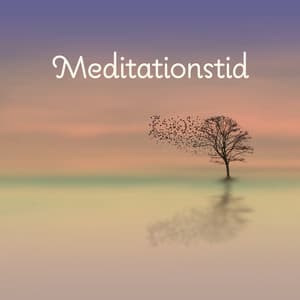 Meditationstid - Meditationsmusik zen institute