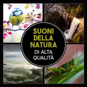 Suoni della natura di alta qualità - Santuario dei suoni della natura