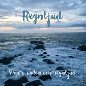 Vågor, vatten och regnljud - Regnljud
