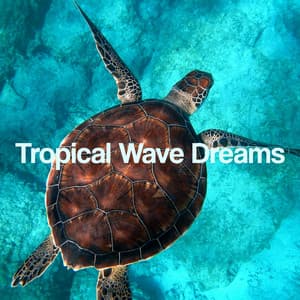 Tropical Wave Dreams - Relaxing Nature Sounds Collection
