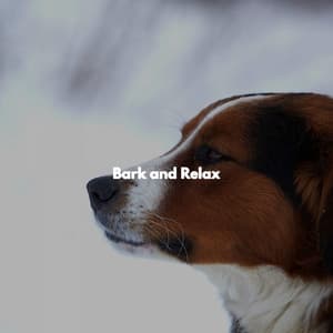 Bark and Relax - Música Alegre para Cafeterías
