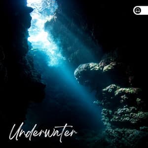Underwater - Zen Garden Secrets