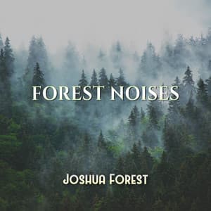 Forest Noises: Miracle Healing, Meditation, Relaxation, Mind and Body Health Therapy - Joshua Forest