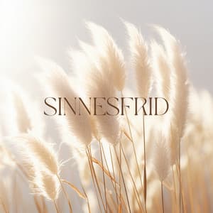 Sinnesfrid: Ångest Sinnesförnyelse, sinnesfrid - Lugnande zen musikzon