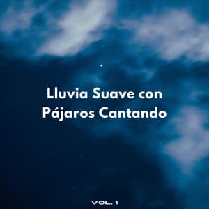 Lluvia Suave Con Pájaros Cantando Vol. 1 - Lluvia Relajante