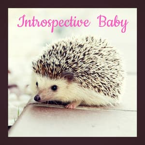 Introspective Baby - Bébé Berceuse
