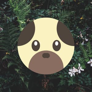 Jungle Pooch - Music for dogs - Chill My Pooch