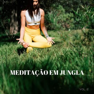 Meditação Em Jungla Vol. 2 - Música Relax para Bares