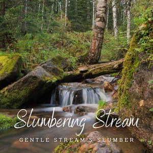 Slumbering Stream: Nature's Sleepscape - Naturaleza FX