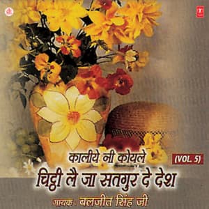Kaliye Ni Koyle Chitthi Lai Ja Satgur De Desh Vol-5 - Bhai Baljeet Singh Ji