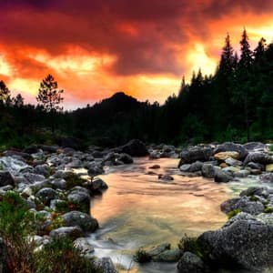 Nature's Voice: Melodic River Journey - The Water Sleepers